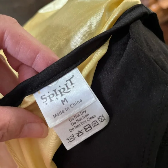 Egyptian Pharaoh Costume - Black and Gold - Picture 4 of 4